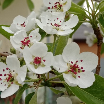 Ростелеком в Башкортостане Наиля Насибуллина post image