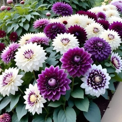 Rainbow 2  💛💜❤️🌎💜🌏❤️ Rosi ♥️🌺🌹🏵️💐🥀🌷🌹♥️ post image