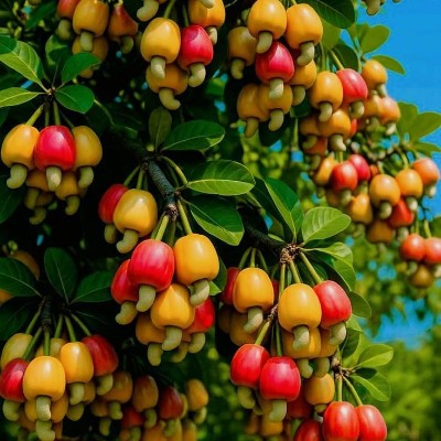 Mixed Group ♀️♂️ 🚶‍♂️🚶‍♀️🏃‍♂️ Rosi ♥️🌺🌹🏵️💐🥀🌷🌹♥️ post image