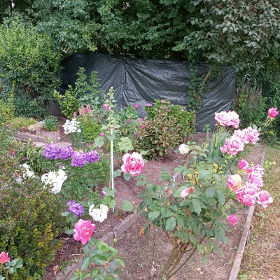 💪🏻 running lover🏃🏻‍♀️🏃🏻‍♂️ Rosi ♥️🌺🌹🏵️💐🥀🌷🌹♥️ post image