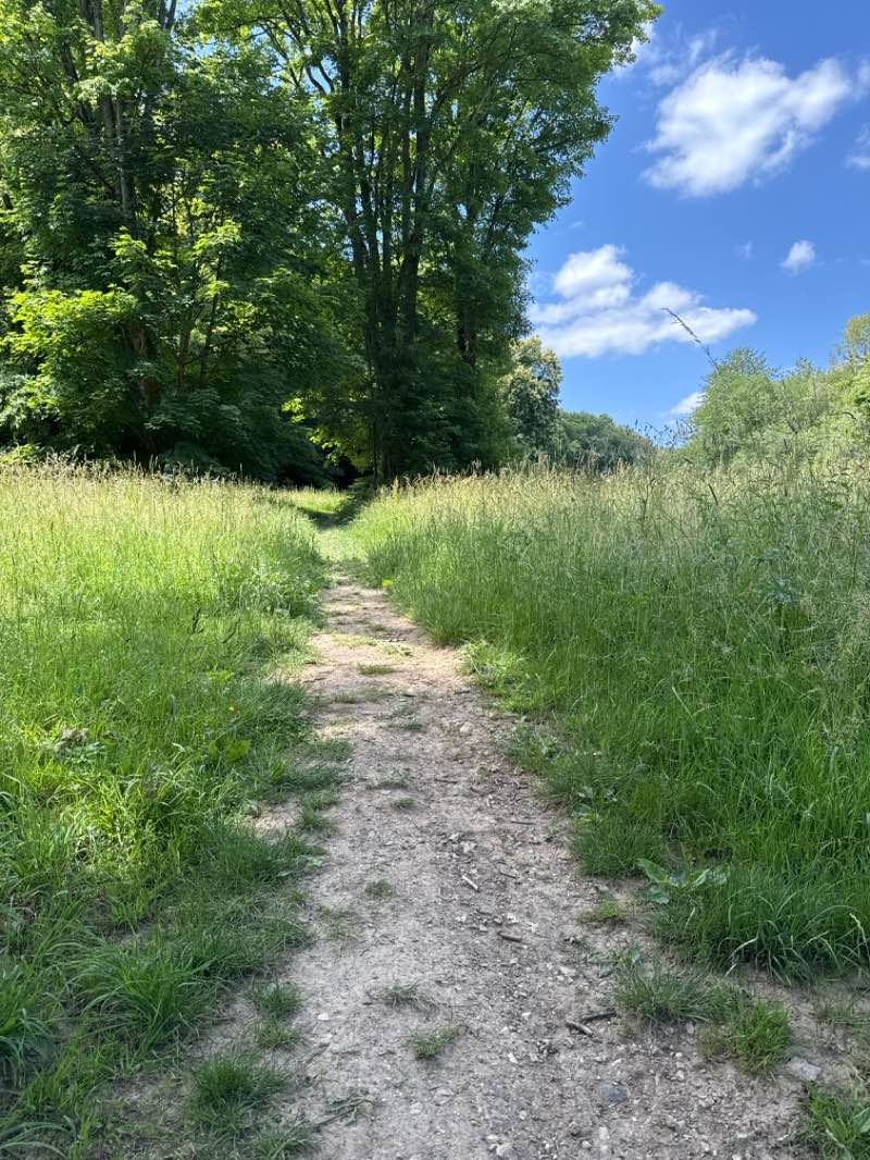 walking near me in Kurpark in summer