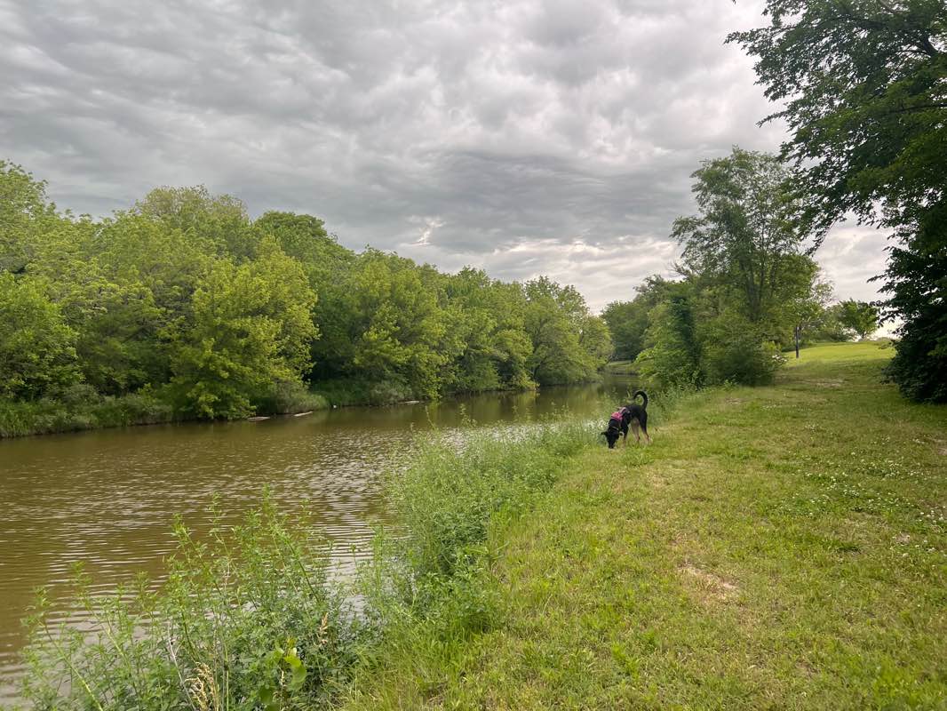 walking near me in Centennial Park in spring