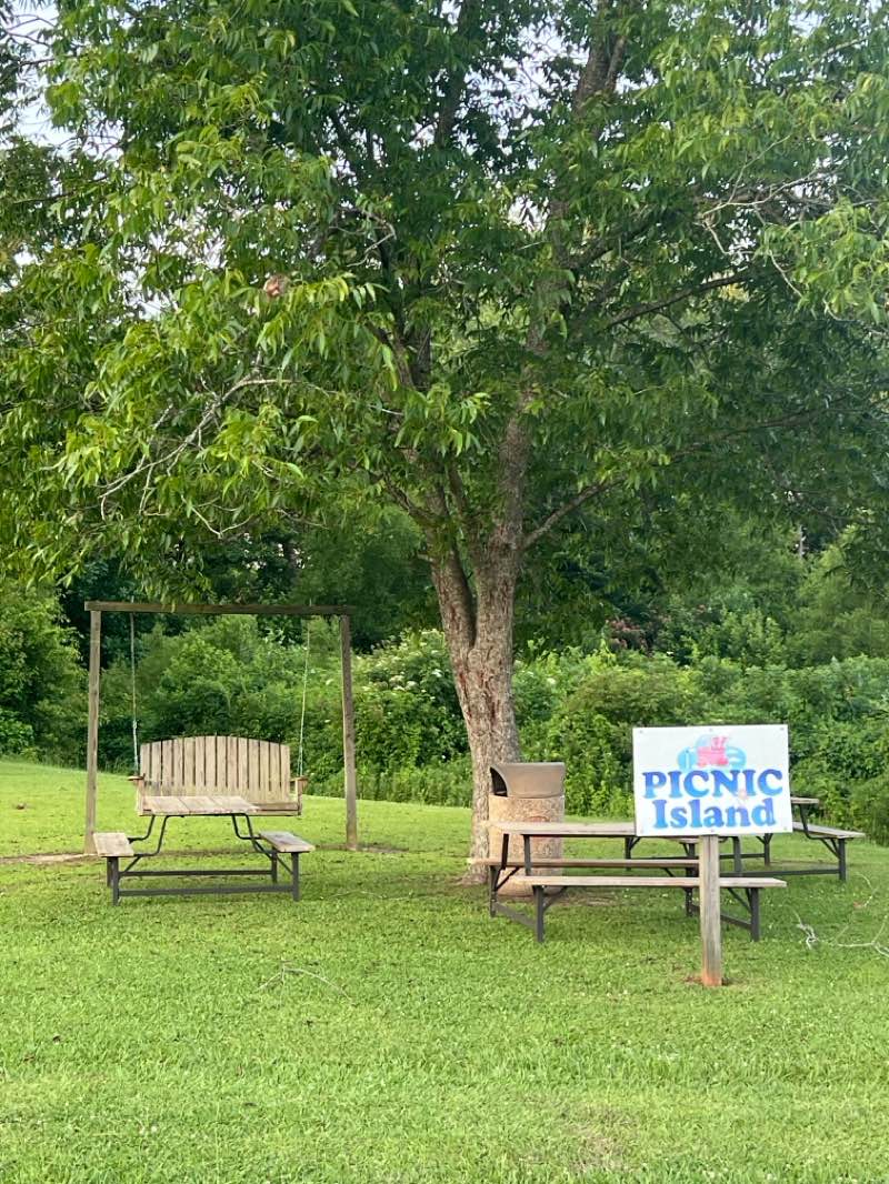 walking near me in Sulligent City Park in summer