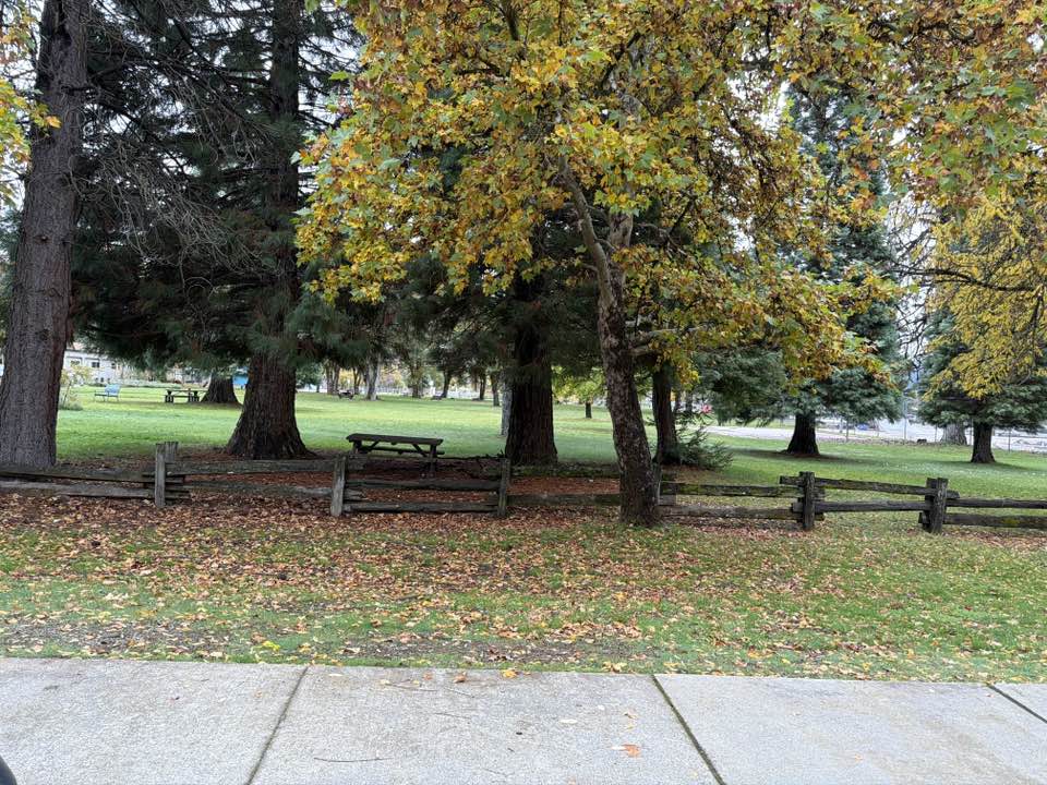 walking near me in Hayfork Park in autumn