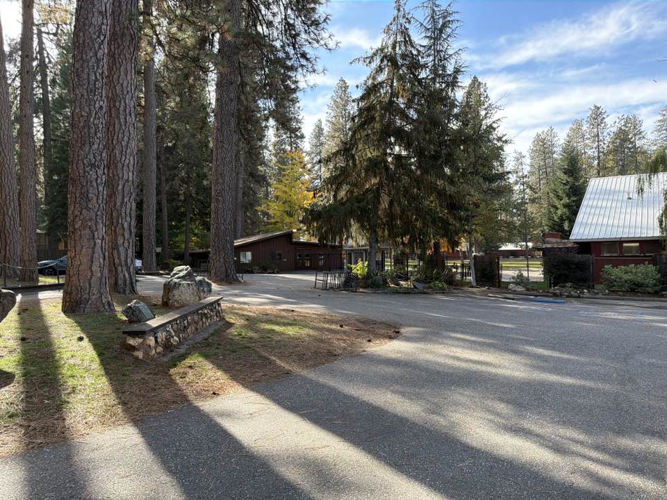 walking near me in Nevada County Fairgrounds in autumn