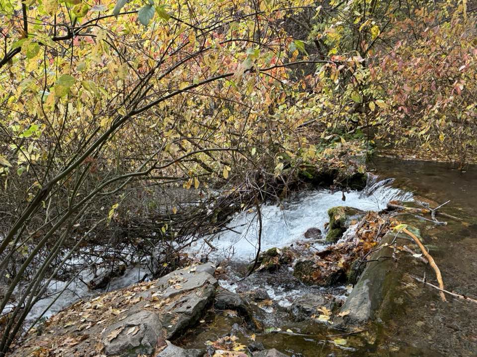 walking near me in Mount Shasta City Park in autumn