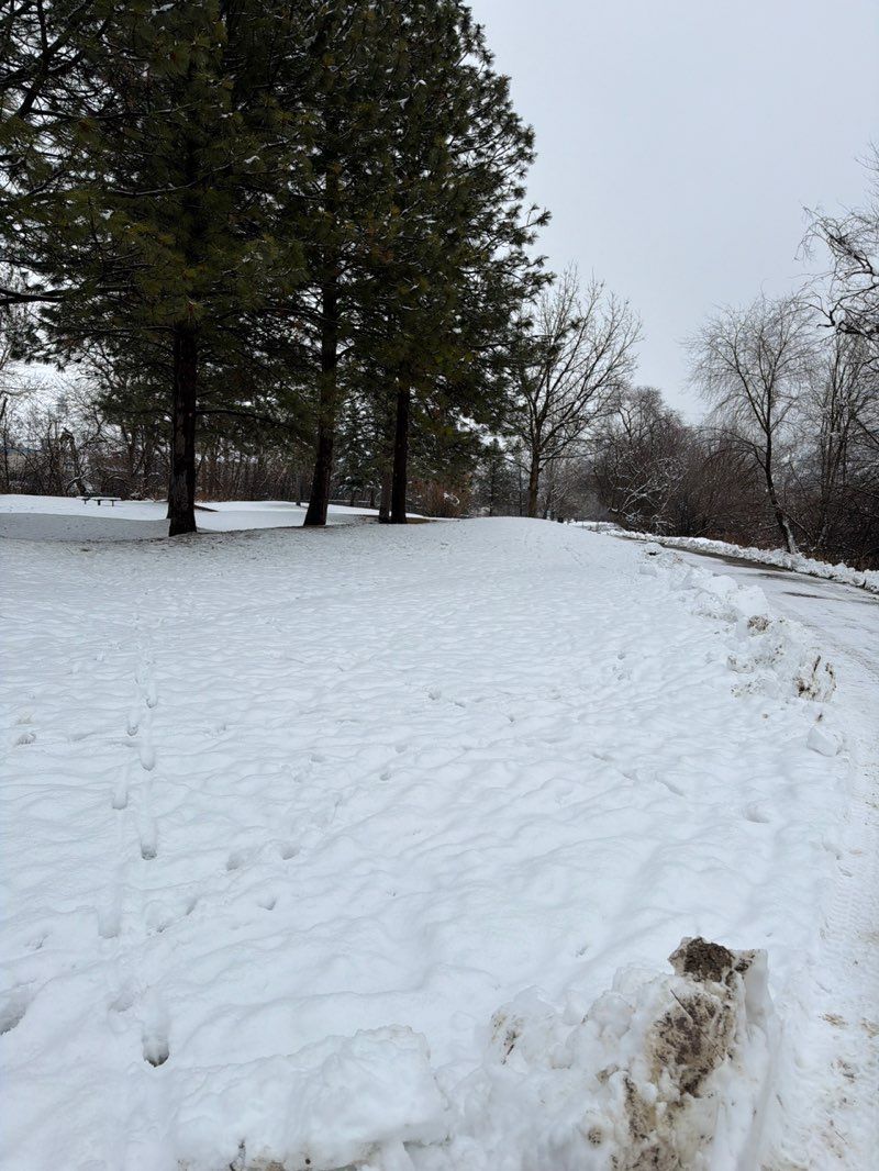 walking near me in Jacob's Island in winter