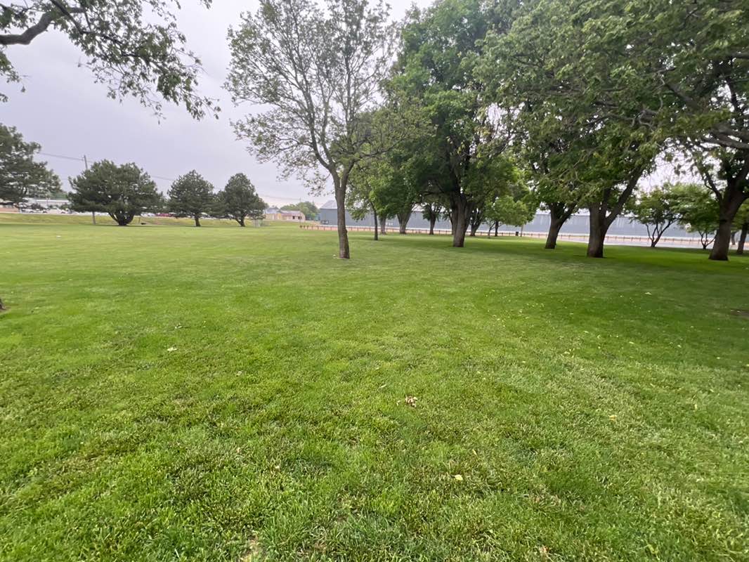 walking near me in Jaycee Park in spring