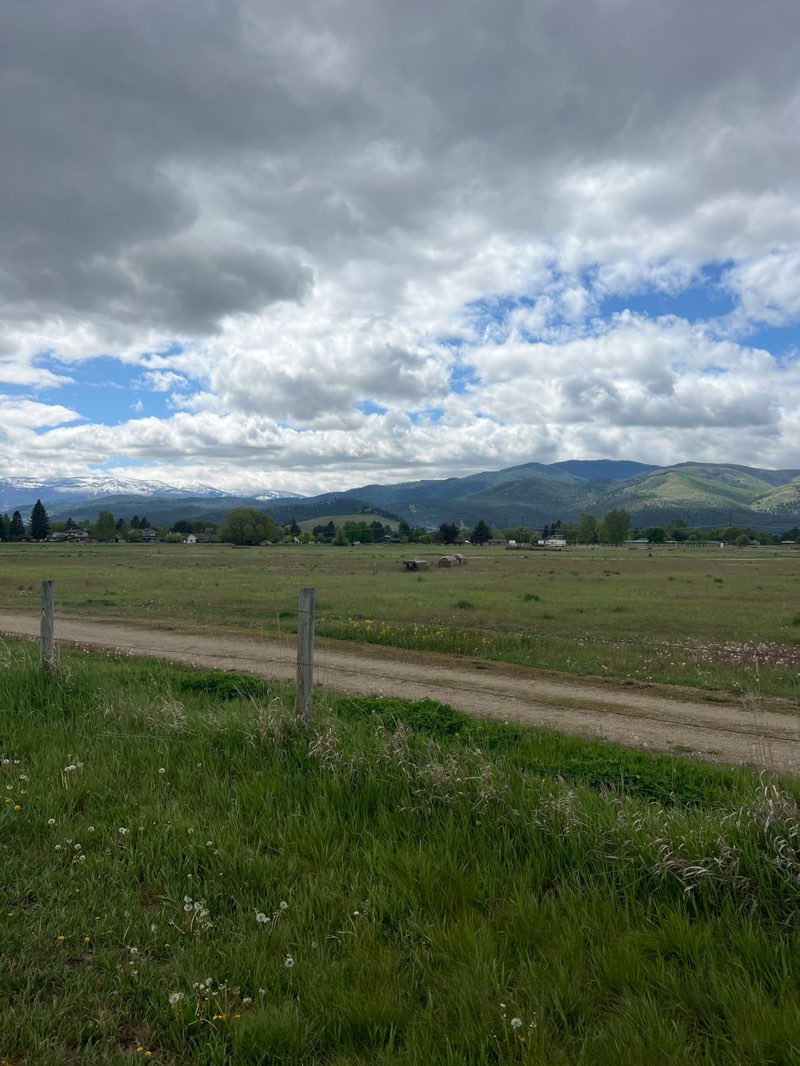 walking near me in Big Sky Park in spring