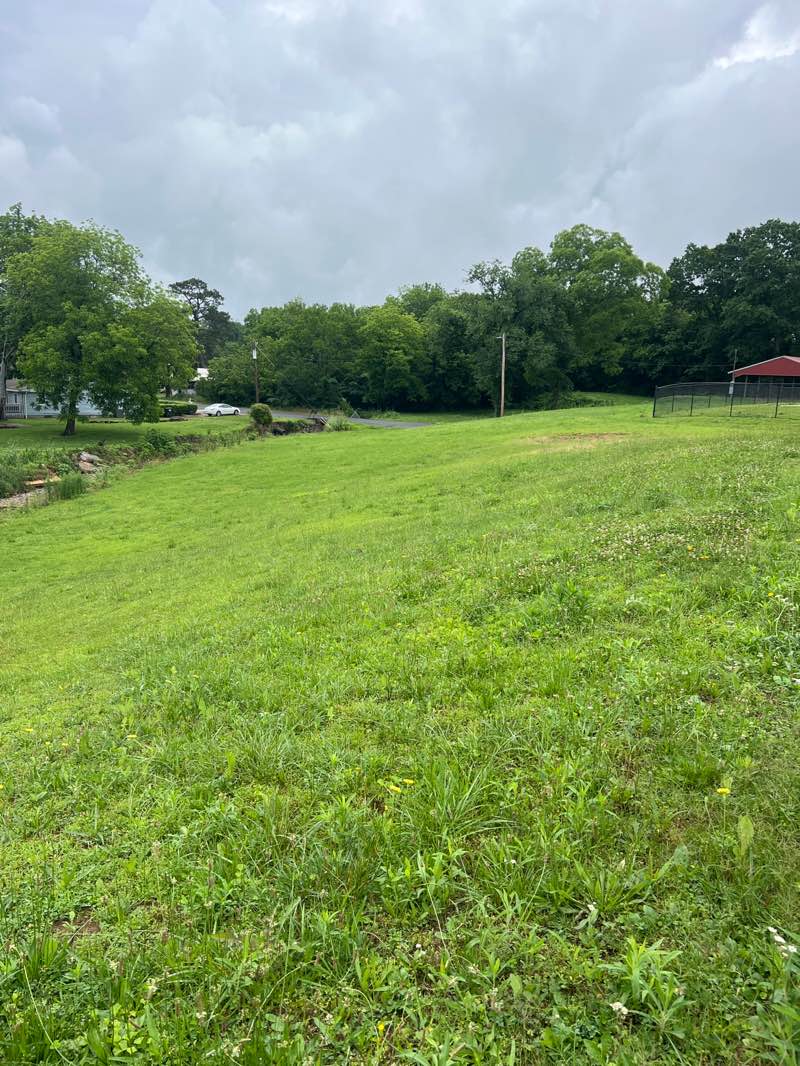 walking near me in James A. Cox Park in spring