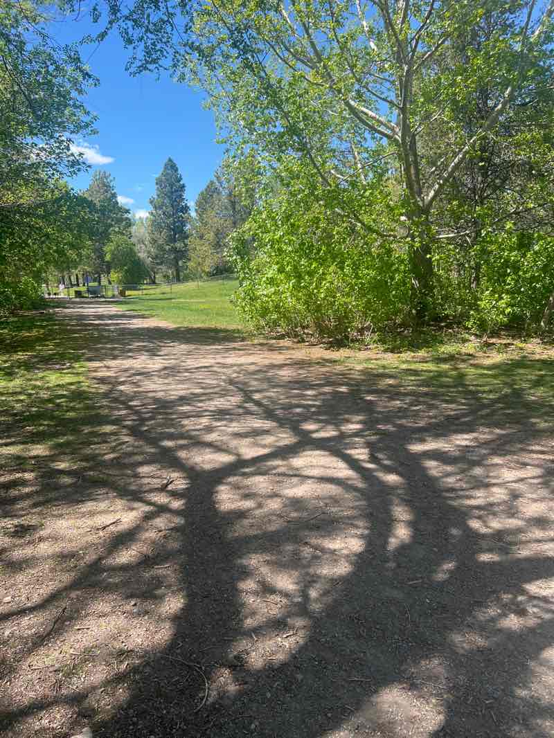 walking near me in Jacob's Island in spring