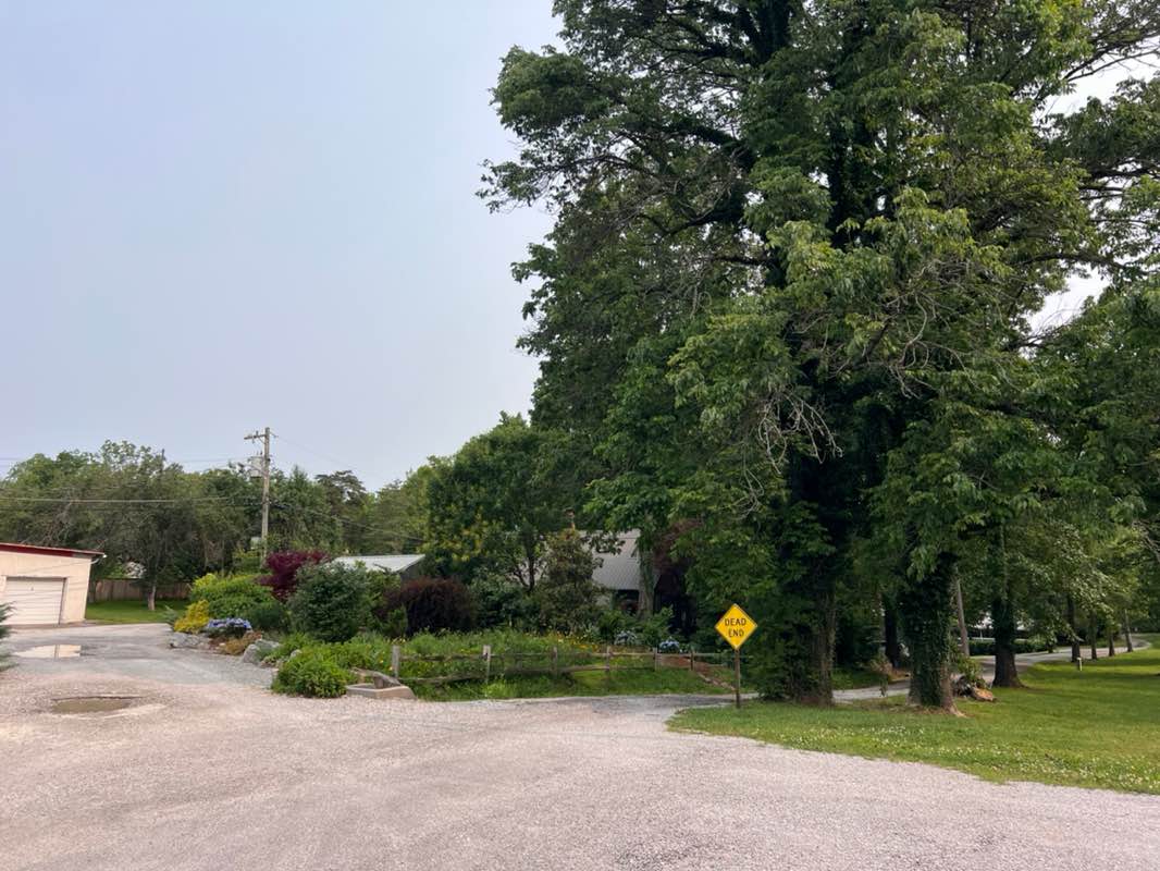 walking near me in Harton Park in spring