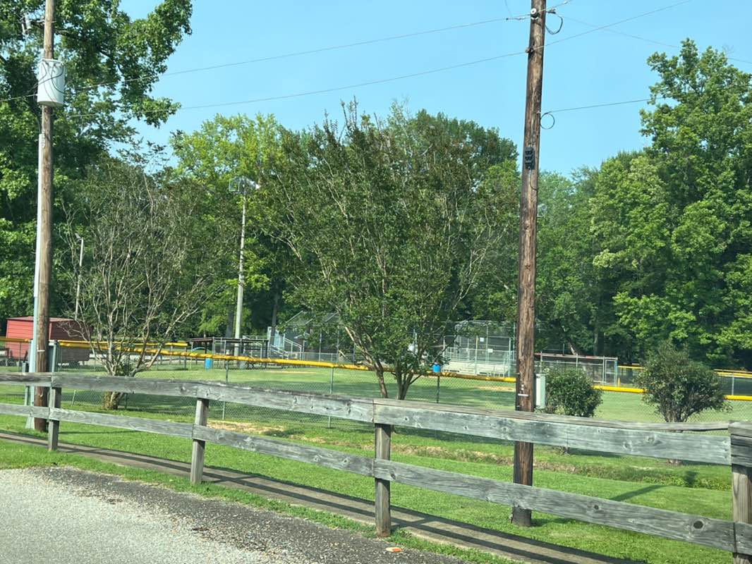 walking near me in Winfield Park in summer