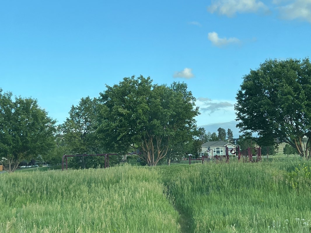 walking near me in Maloney Ranch Park in summer