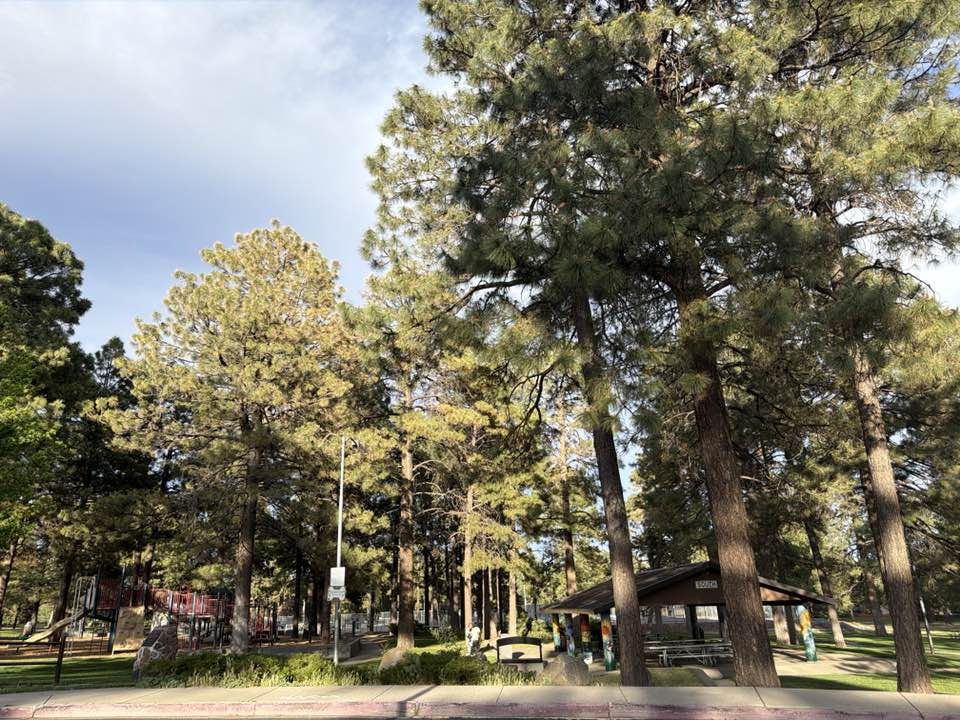 walking near me in Bushmaster Park in spring