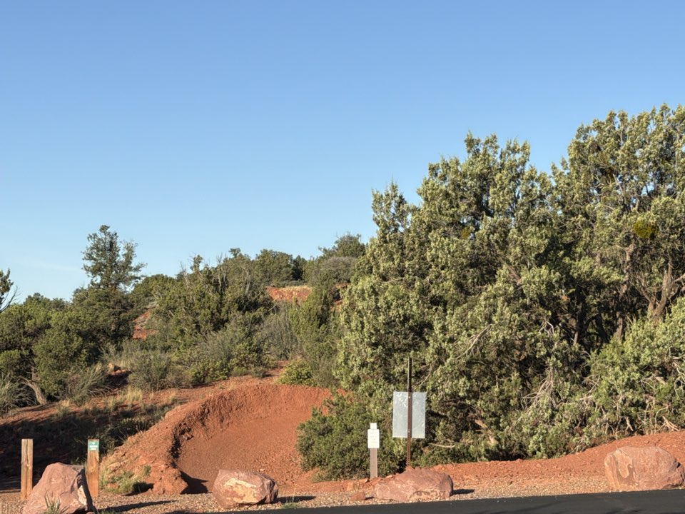 walking near me in Bike Skills Park in summer