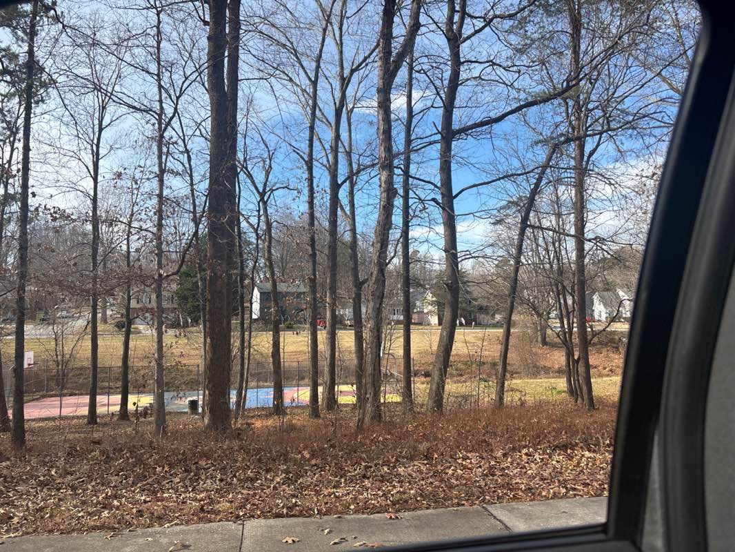 walking near me in Kings Forest in winter