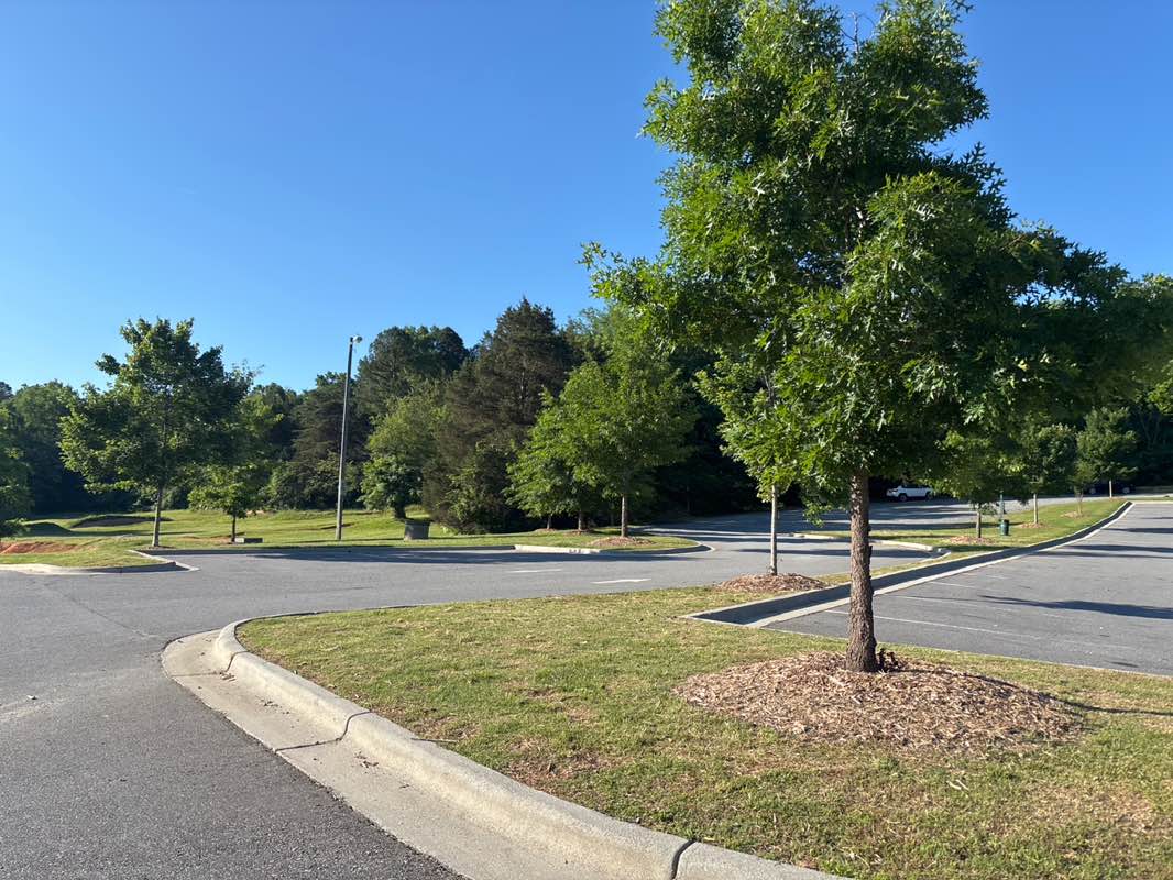 walking near me in Hobby Park in spring