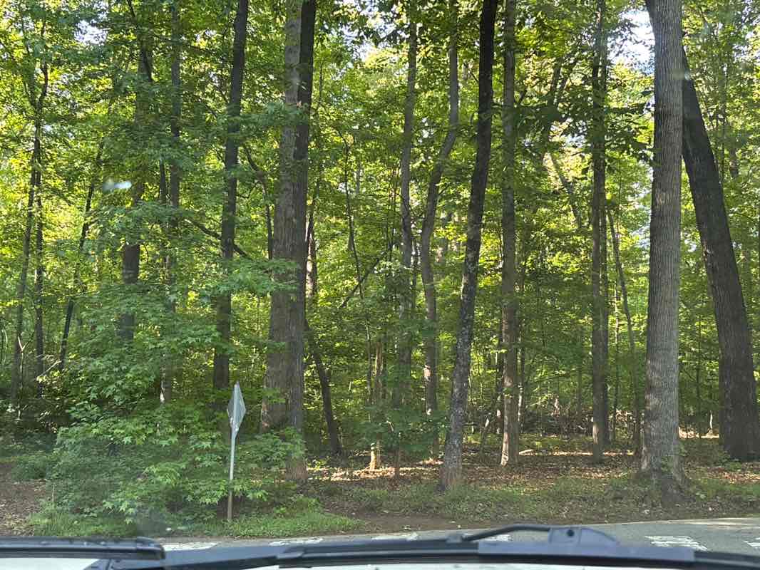 walking near me in Tanglewood Park in spring