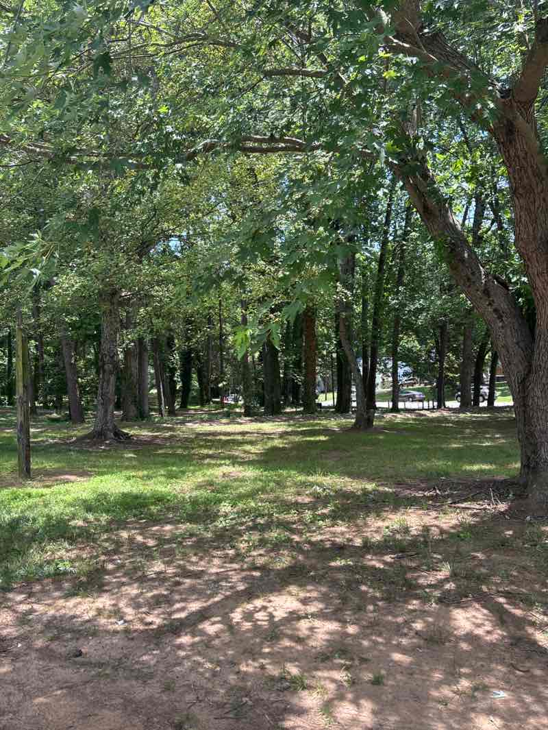 walking near me in Miller Park in summer