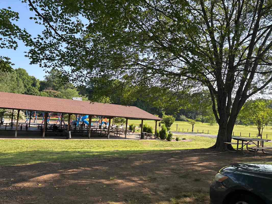 walking near me in Bolton Park in summer