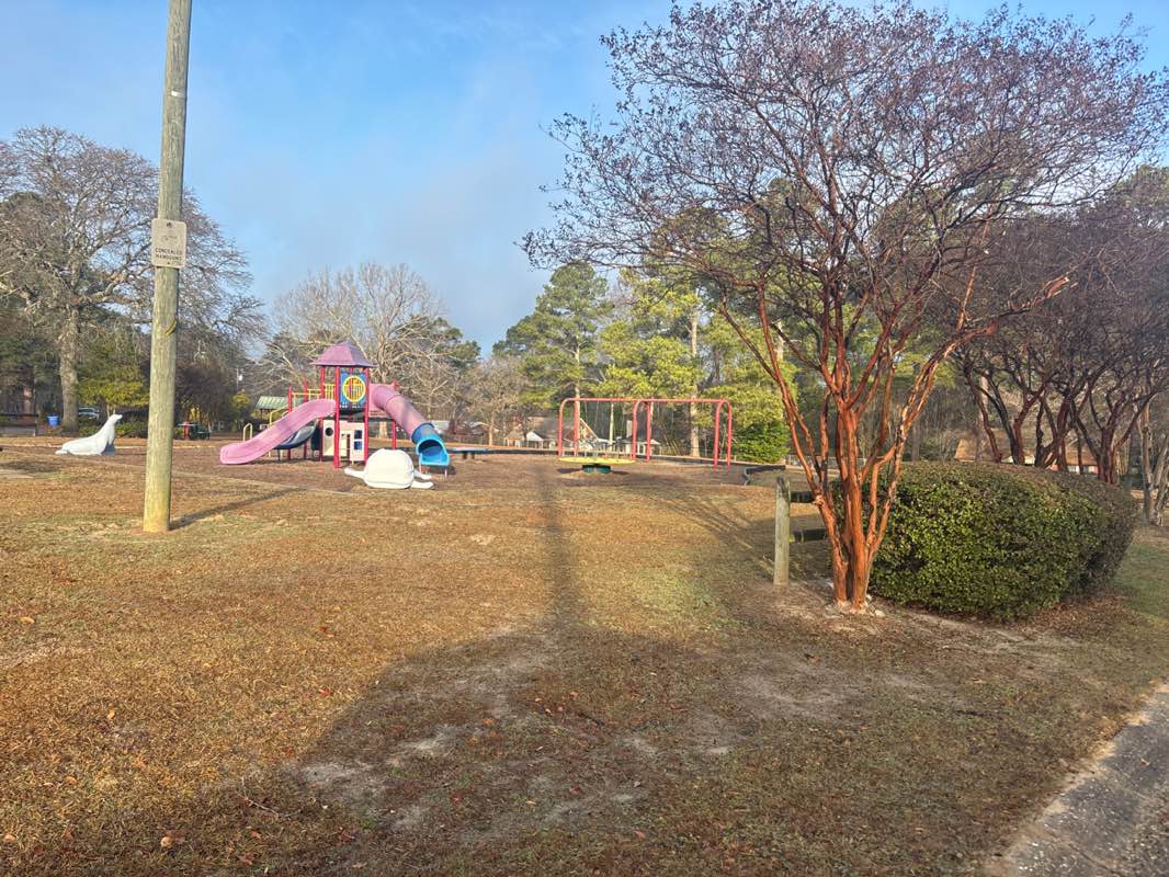 walking near me in Cumberland Heights Park in winter