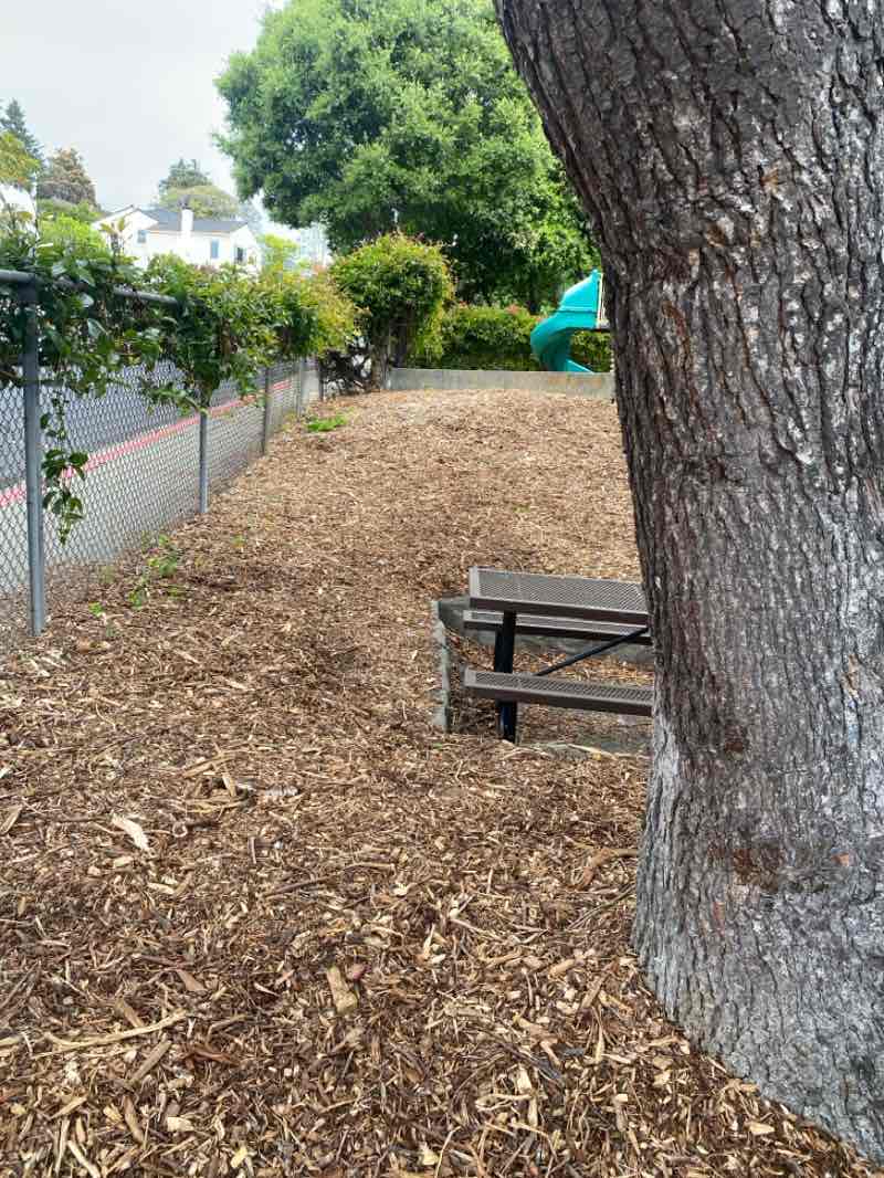 walking near me in Poinsett Park in spring