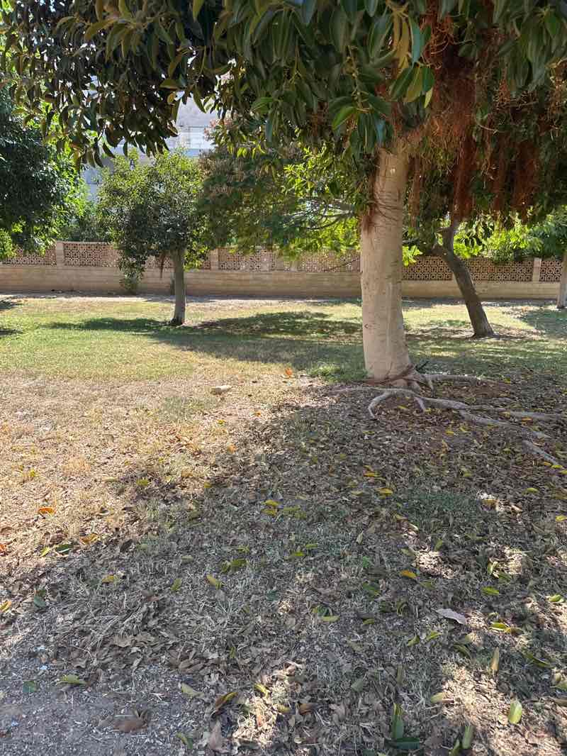 walking near me in גן מרכזי י"ז in autumn