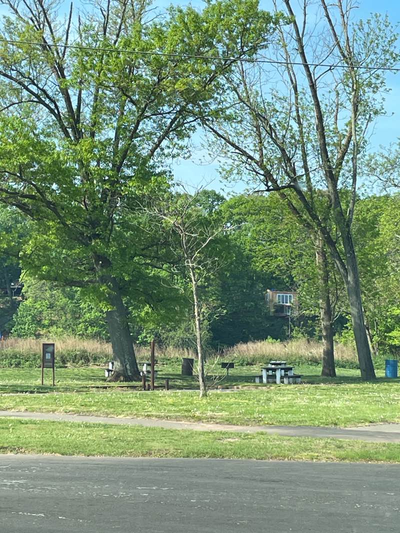 walking near me in Donaldson Park in spring