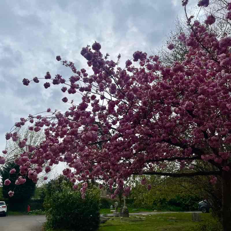 chilsy bonbon🧚🏿‍♀️ post 3