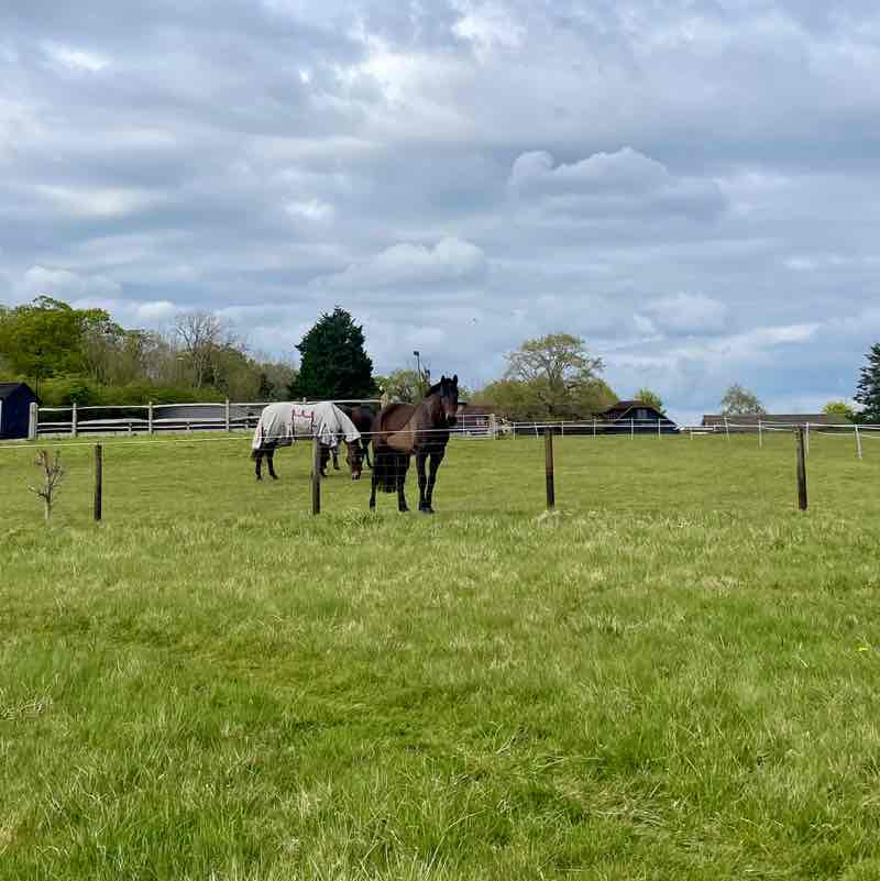 chilsy bonbon🧚🏿‍♀️ post 2