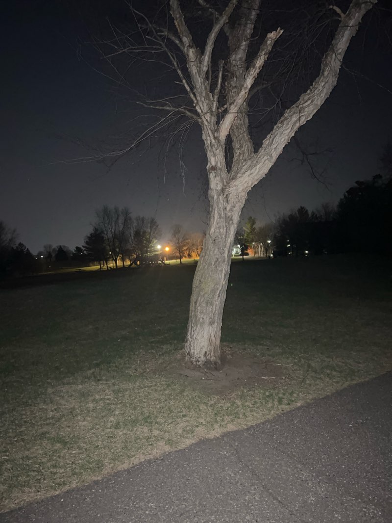 walking near me in Sunset Pond Park in spring