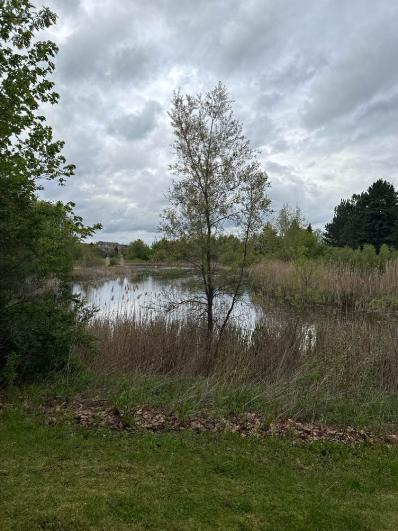 walking near me in Richmond Green in spring