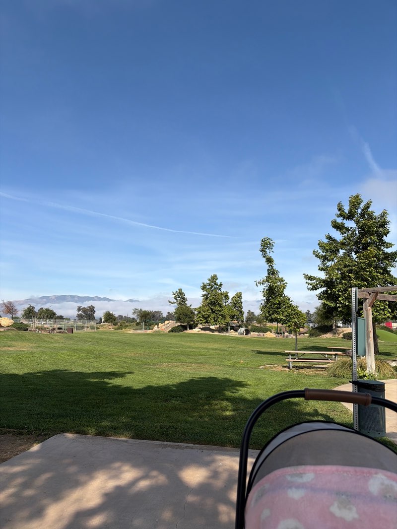 walking near me in Park Greenfield in spring