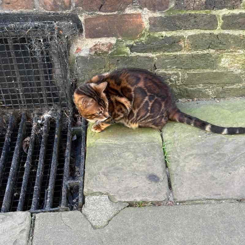 Slugs  Melanie post image