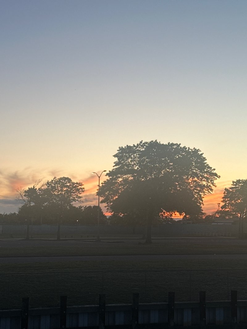 walking near me in Newbridge Road Park in spring