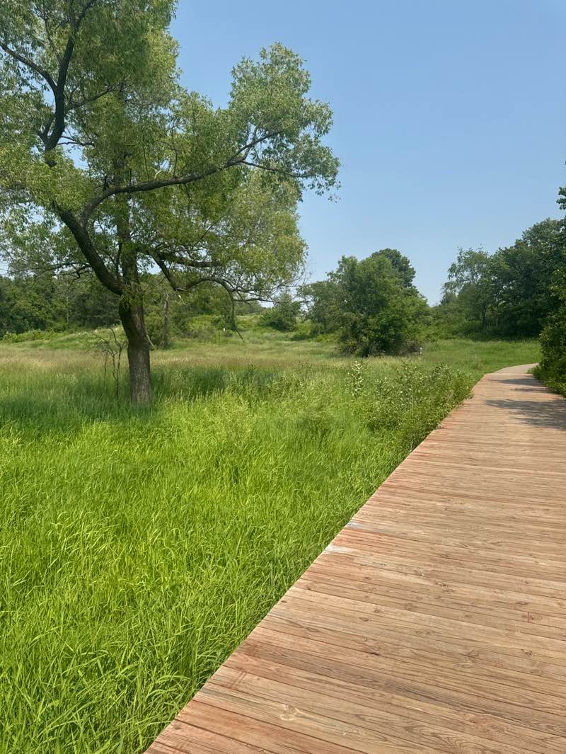 walking near me in Whitetail Woods Regional Park in summer