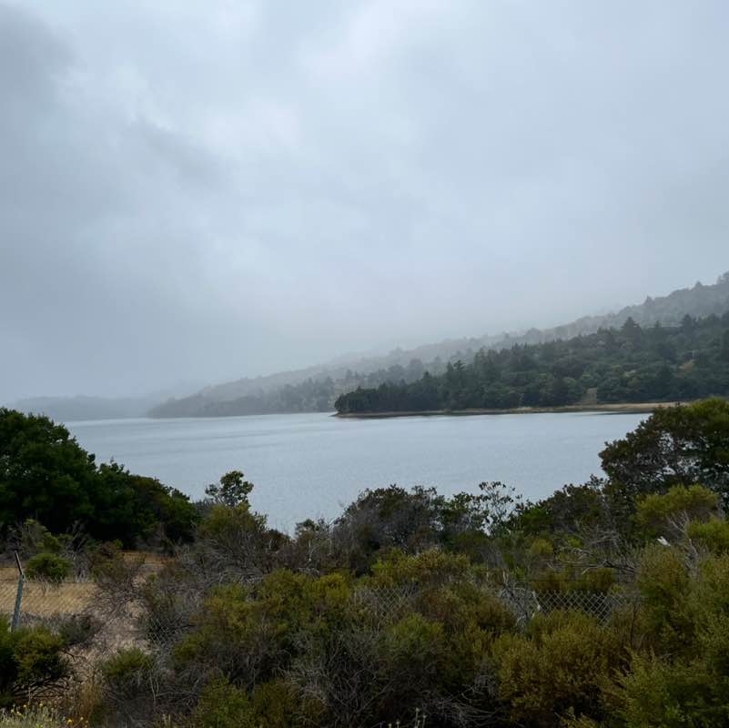 Outer ring grocery store Calvin post image