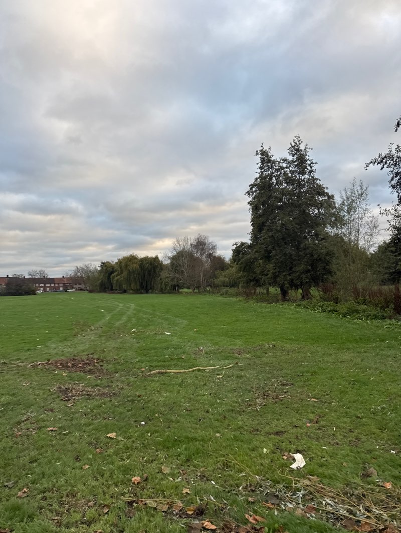walking near me in Goresbrook Park in autumn