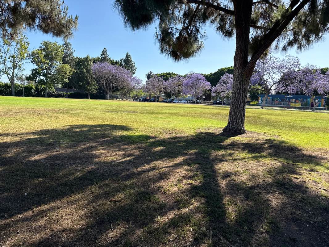 walking near me in Gilbert Park in spring
