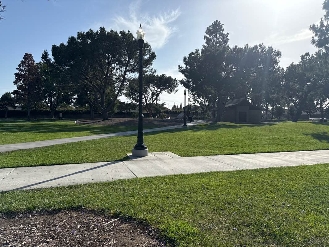 walking near me in Pine Tree Park in spring