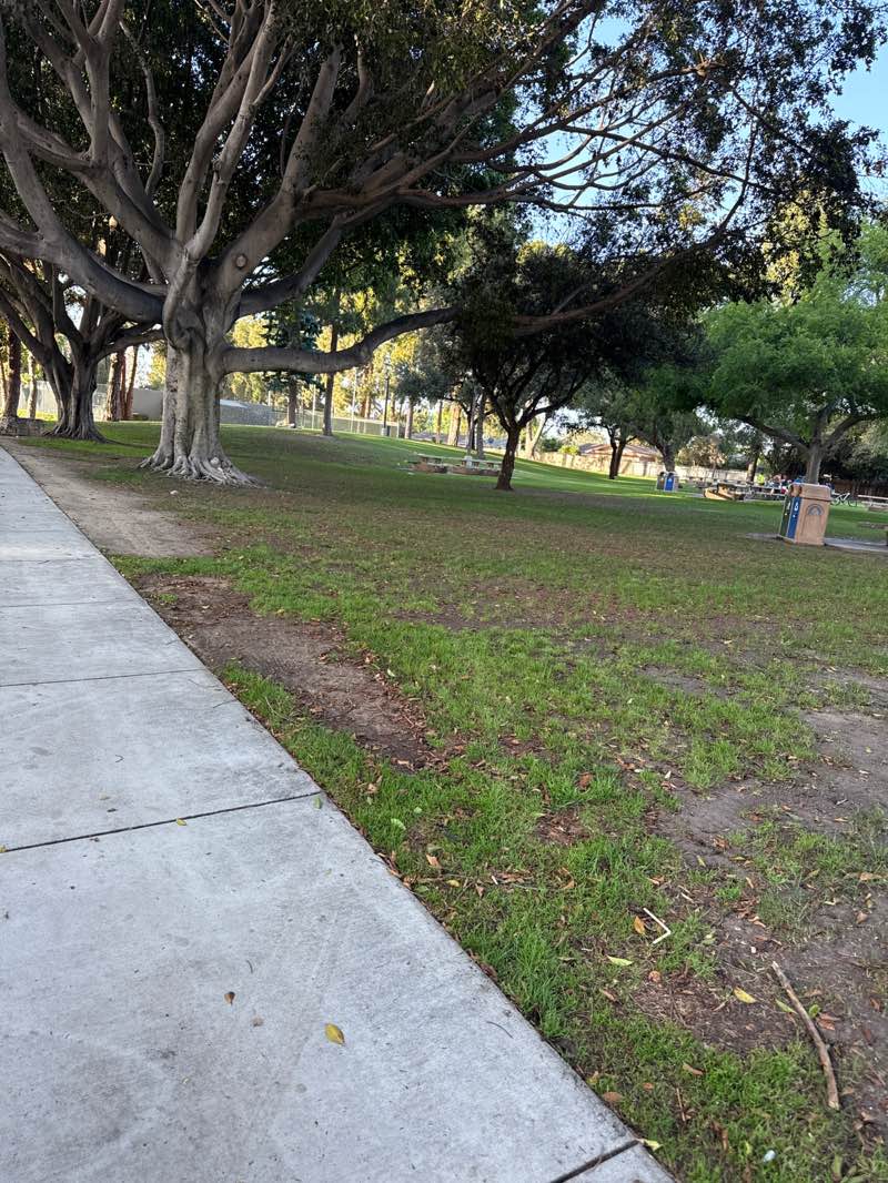 walking near me in Windsor Park in spring