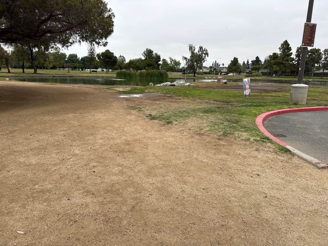 walking near me in Carl Thornton Park in summer