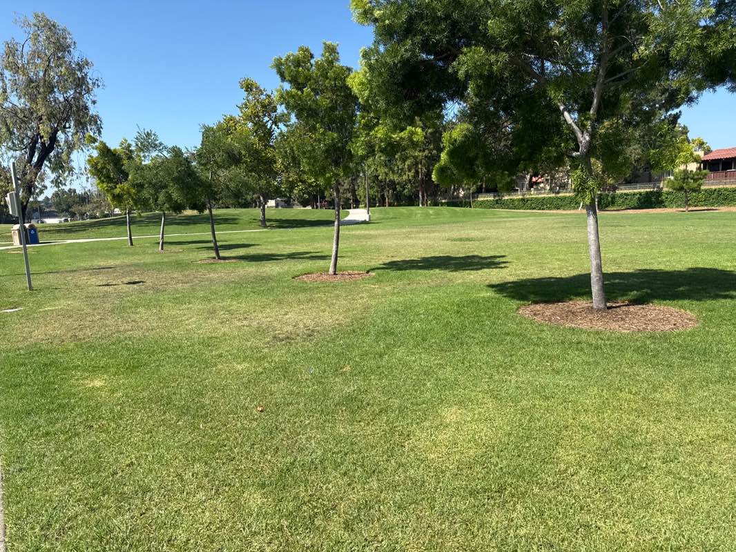 walking near me in Bomo Koral Park in summer