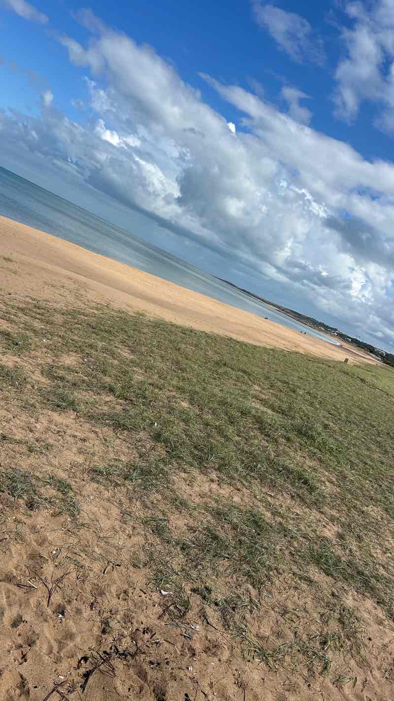 walking near me in Parque Cañada Aparicio in autumn