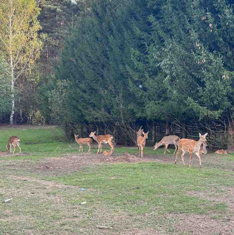 ༺ Darya ༻ post 2