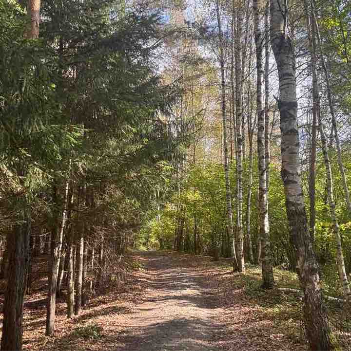 ༺ Darya ༻ post 3