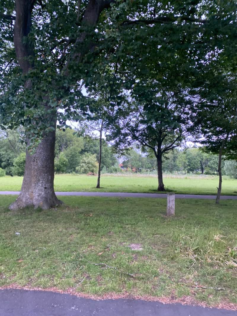 walking near me in West Smethwick Park in summer