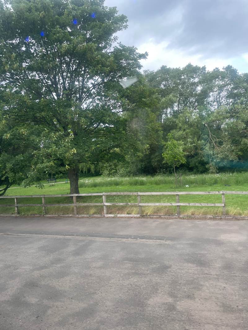walking near me in Sheldon Country Park in summer