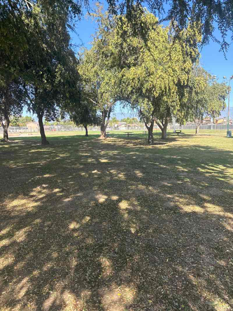 walking near me in Elizabeth Davis Park in autumn